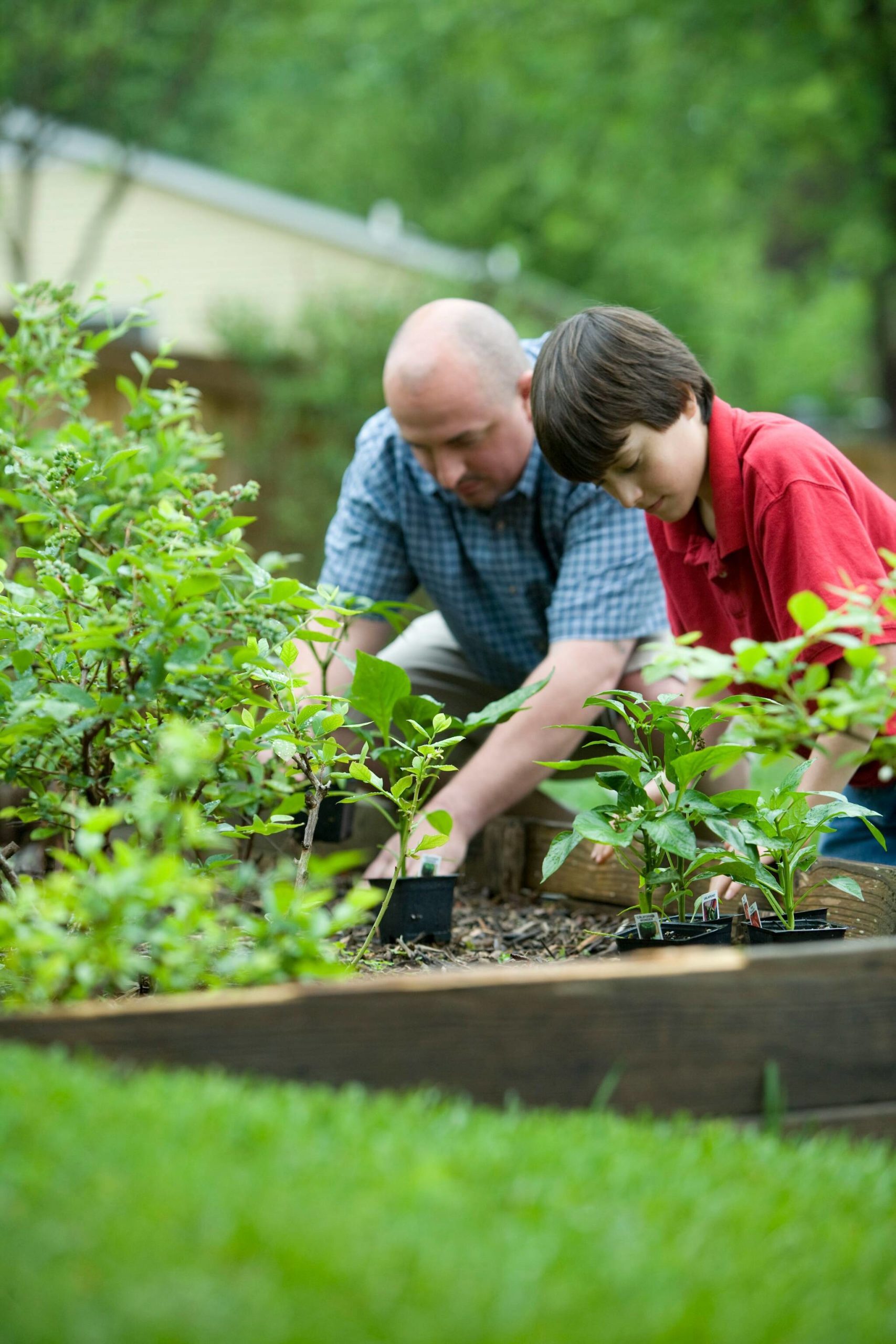Take gardening to another level with Master Gardeners’ annual gardening