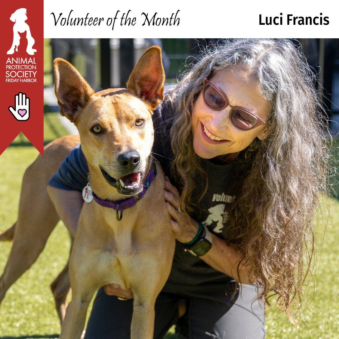 Contributed photo by the Animal Protection Society - Friday Harbot
Best friends Luci Francis and Sable