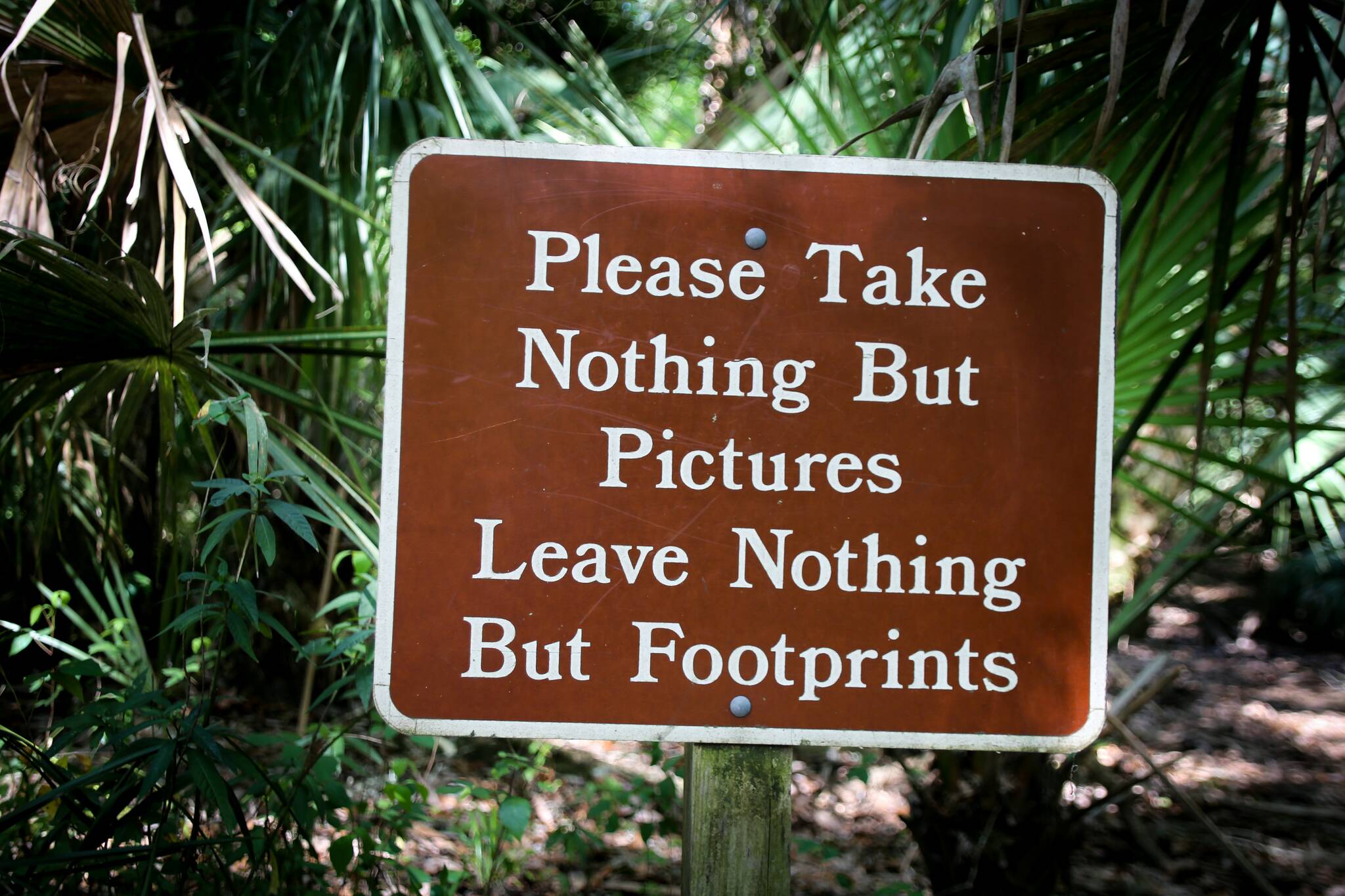 Contributed photo by Upslash
A “Leave No Trace” sign in a Florida state park says “Take nothing but pictures, leave nothing but footprints.” This image first appeared on https://www.florida-guidebook.com