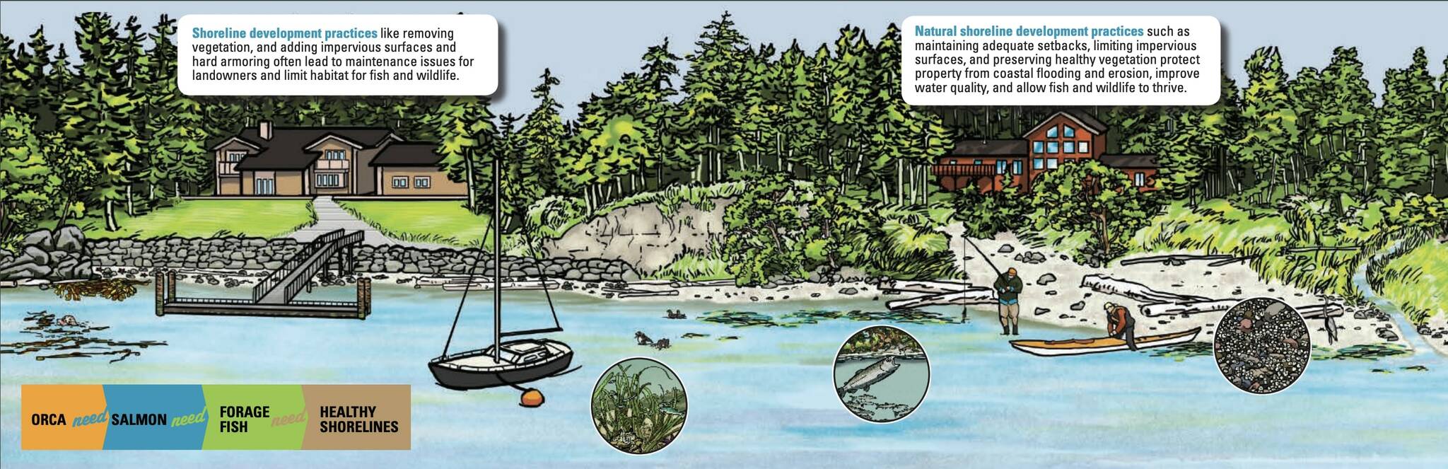 Contributed photo by Friends of the San Juans
The natural process of beaches.