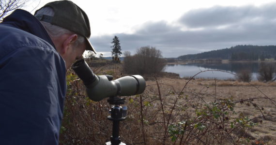 Kelley Balcomb-Bartok/Staff photo
U.S. Congressman Rick Larsen looks out over Zylstra Lake and several Trumpeter Swans during a recent visit to San Juan Island.