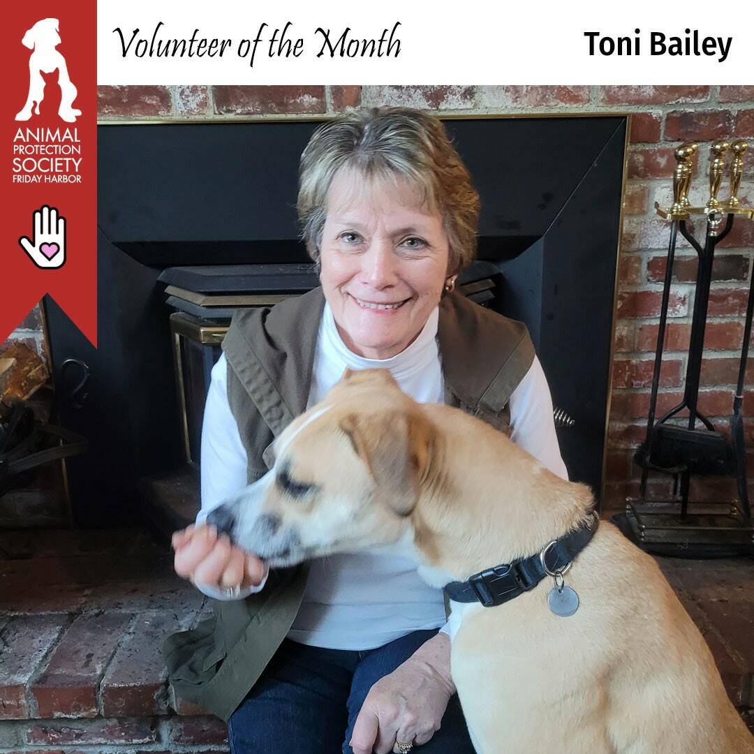 Submitted by the Animal Protection Society - Friday Harbor
Toni Baily with Moose