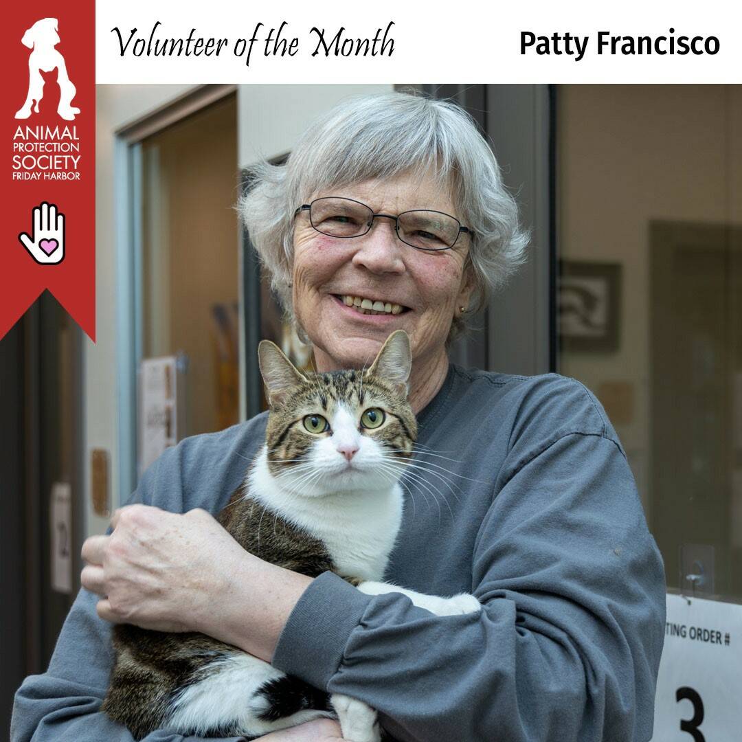 Contributed photo by the Animal Protection Society - Friday Harbor Pictured above is Patty with APS-FH adoptable cat, Rebel!