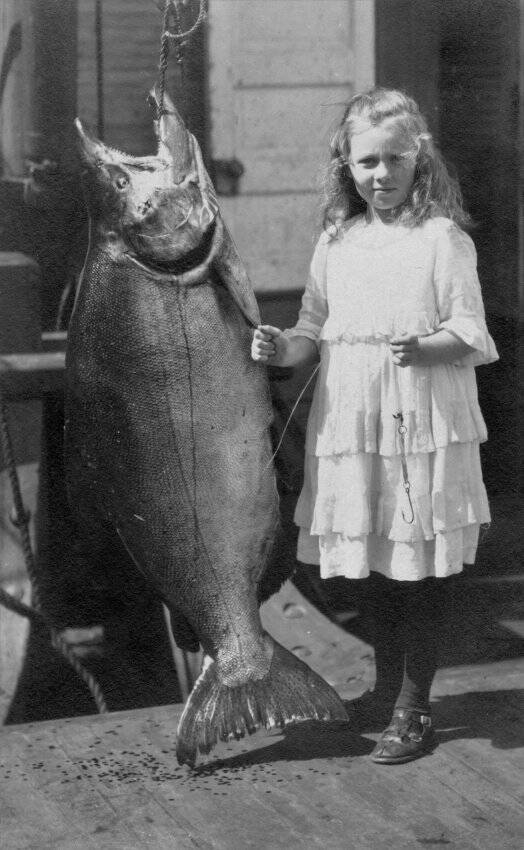 Contributed photo by the San Juan Island Historical Museum. Grace (Dolly) Washburn c. 1917. The King salmon weighed 108 pounds, Grace weighed 65 lbs, she was 11 years old. The fish was caught in one of the fish traps off South Beach, San Juan Island.