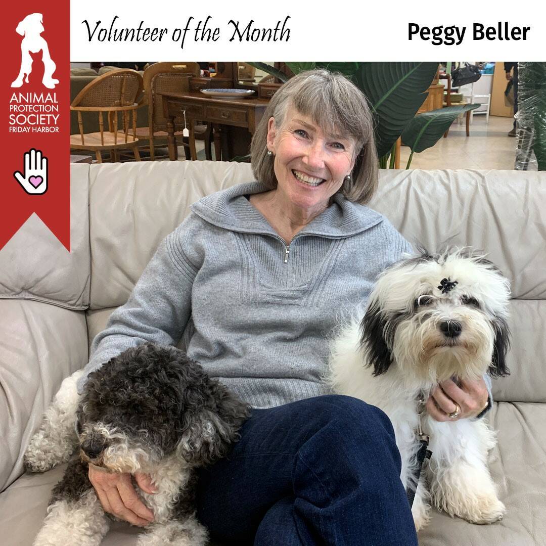 Contributed photo
Peggy Beller with her two pups