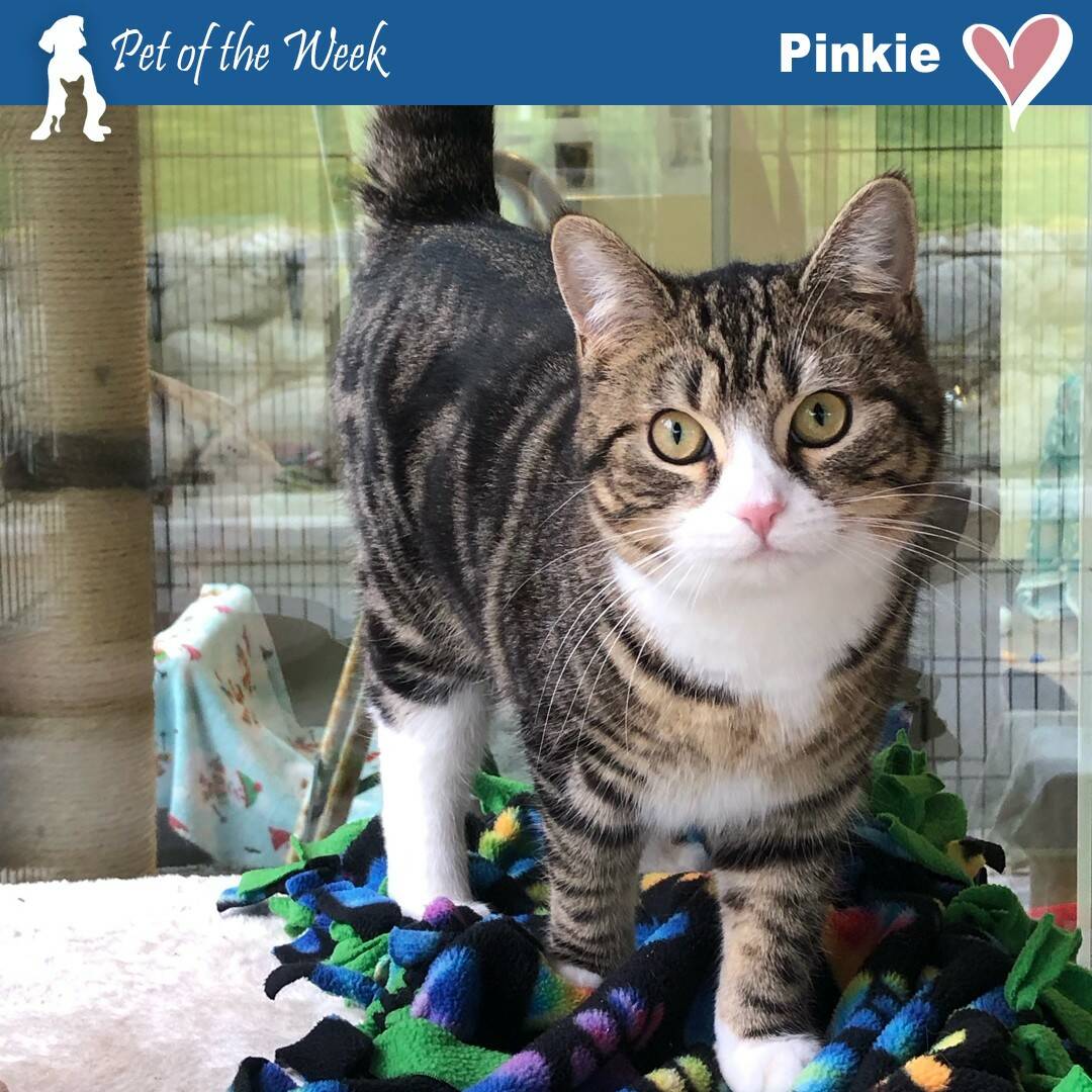 Contributed photo
Pinkies bold makeup is on point.