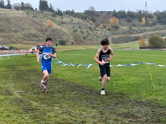 Darrell Kirk photo Wolverines pull ahead during the West Central WIAA District 3 on Nov. 1