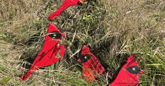 Contributed photo.
One of the many pieces on display: “Four Calling Birds” by Georgia Vanderyacht.