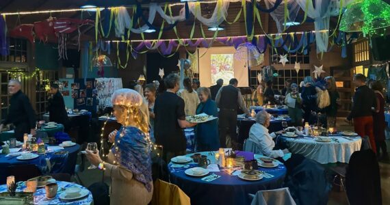 Contributed photo by Marieke Dannaiu
Islanders dressed in varied marine themed costumes at the Alchemy Art Center’s Gala.