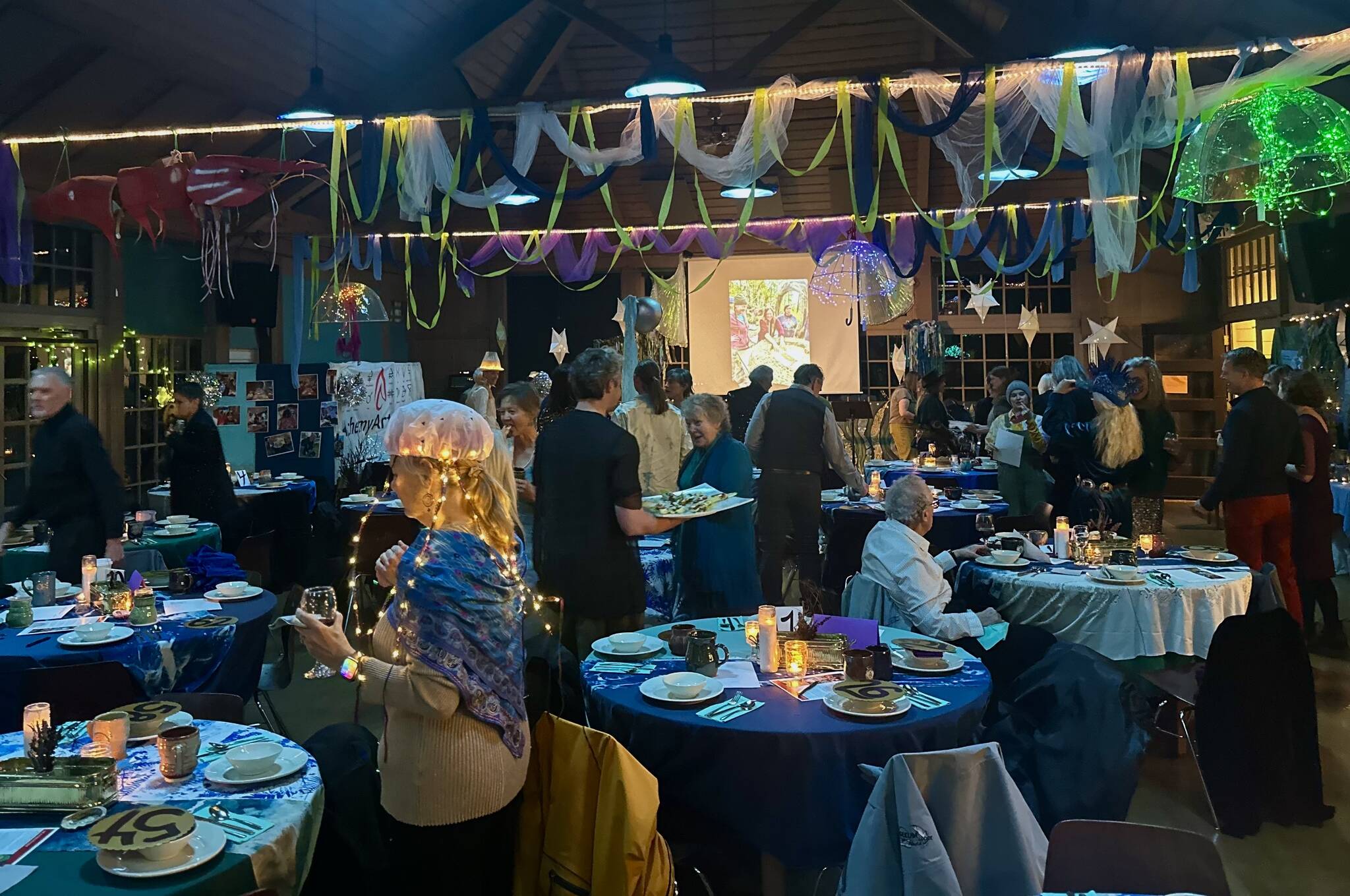 Contributed photo by Marieke Dannaiu
Islanders dressed in varied marine themed costumes at the Alchemy Art Centers Gala.