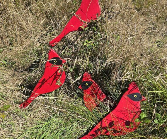 <p>Contributed photo.</p>
                                <p>“The Four Calling Birds” by Georgia Vanderyacht.</p>