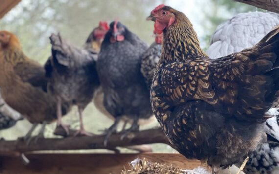 Kristina Stucki photo.