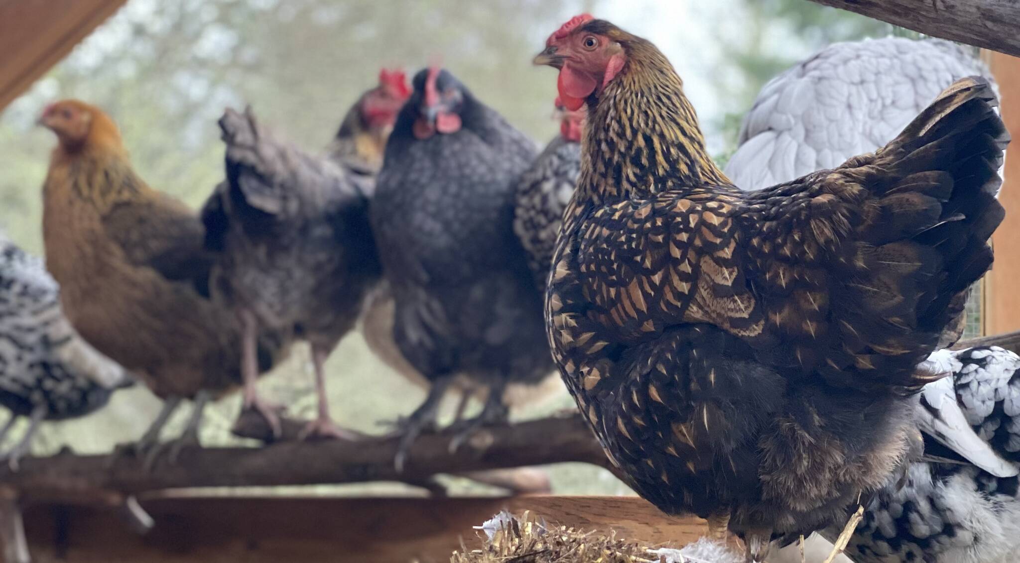 Kristina Stucki photo.