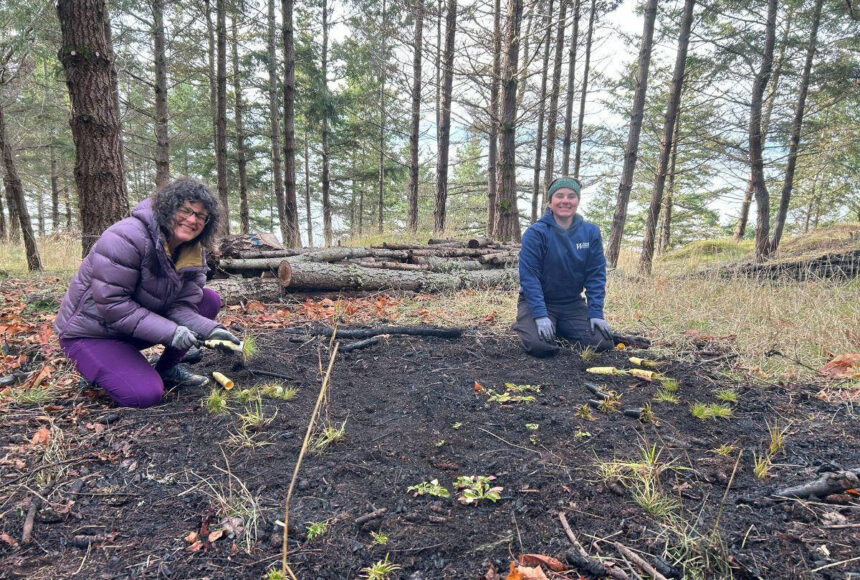 <p>Contributed photo</p>
                                <p>Land Bank staff, Tanja Williamson and Shauna Barrows, atop Goldenback Trail in late November.</p>