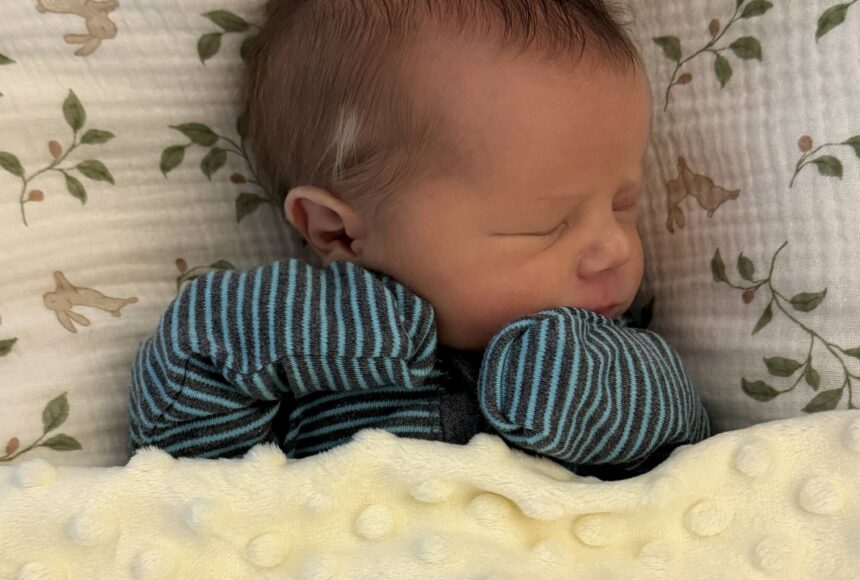 <p>Contributed photos.</p>
                                <p>Baby Callahan.</p>