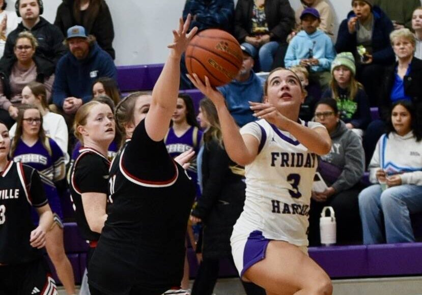 <p>Contributed photo by John Stimpson</p>
                                <p>Caylee Morton, #3, scores two points underneath.</p>