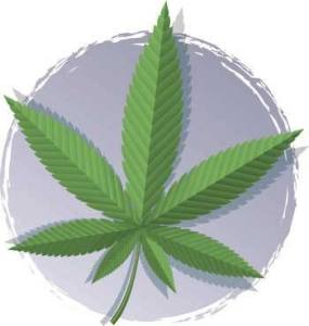 Shaw Island nuns crash the local marijuana retail landscape with 'Holy Smokes