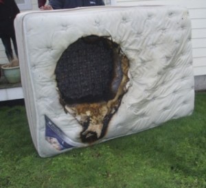 A smoldering electric blanket burned a hole in this mattress