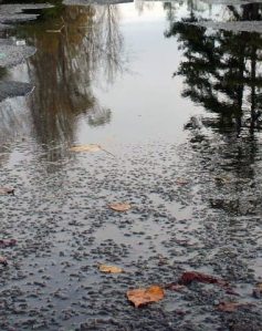 Rebuilding Spruce Street — with new surface and storm drainage — would cost about $471