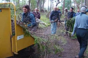 Neighbors helping neighbors clear brush and debris on San Juan Island.