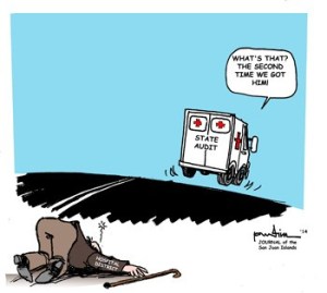 Cartoon musings on local news and events are published periodically in the Journal of the San Juan Islands