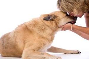 Hogart gets a smooch on the nose from owner Jan Murphy.