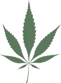 A state-licensed marijuana retail shop is expected to open in Friday sometime in July.