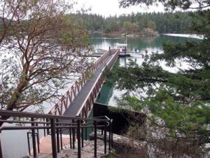 A view from the shore of the new 115-foot pier at English Camp.