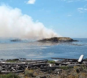 Smoke rises from Goose Island Monday as the fire continued to smolder.