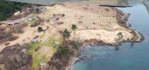 An aerial photograph show an area cleared of shoreline vegetation
