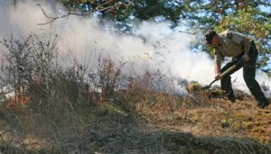 Garden shovel in hand