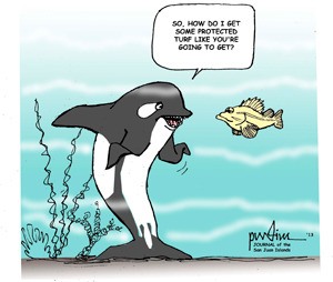 Cartoon musings on local news and events are published periodically in the Journal of the San Juan Islands.