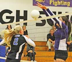 Friday Harbor's Uma Hu