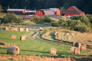 The Red Mill Farm in the heart of San Juan Valley