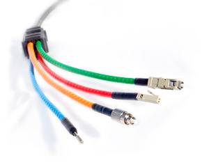 Local control of fiber-optic network demonstrated by Internet outage