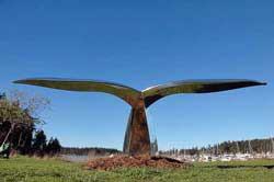 A polished aluminum sculpture by San Juan Island artist Micajah Bienvenu entitled 'Fluke'