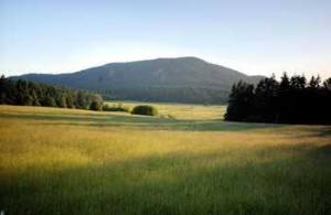 A view of Turtleback Mountain from Orcas Island's Crow Valley.