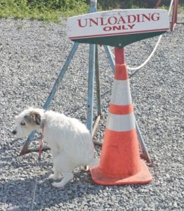 Are you sure this is the right spot?