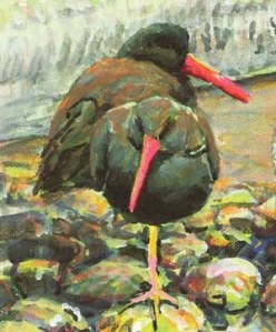 Image is courtesy of Audubon’s Great Washington State Birding Trail