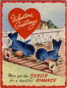 Wolf Hollow Wildlife  Rehabilitation Center Valentine