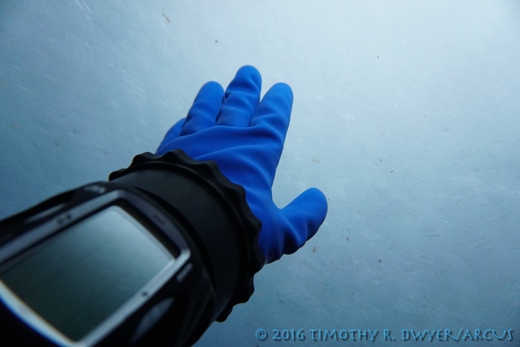 Local teacher explores Antarctic glaciers