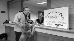 Dog tags available Monday, Nov. 23