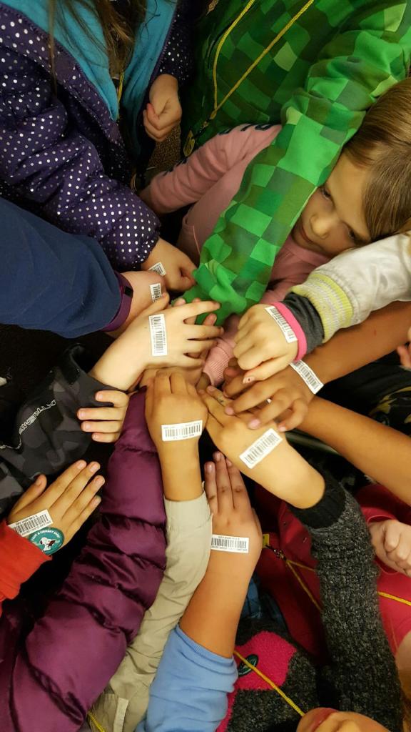 First graders visit the library