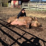 “Thanksliving” at the Animal Sanctuary