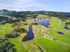 Land Bank seeks acquisition of 300 acre Zylstra Lake property