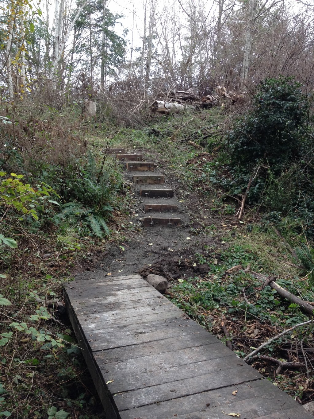 Volunteers build steps to ease six-mile trail