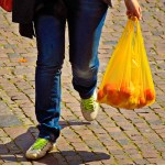 County bans single-use plastic bags
