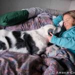 Top 10 stories from 2016