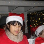 Tree lighting marks start of holiday season