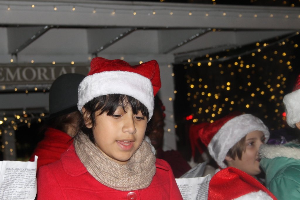 Tree lighting marks start of holiday season